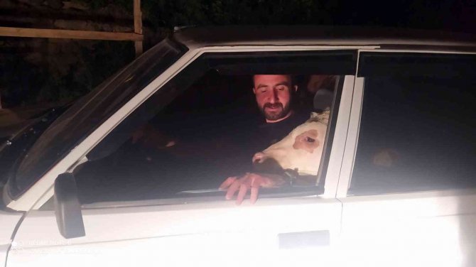 Akıllara Dana Ferhat’ı Getirdi, Yıllar Sonra Sivas’ta Aynı Kare