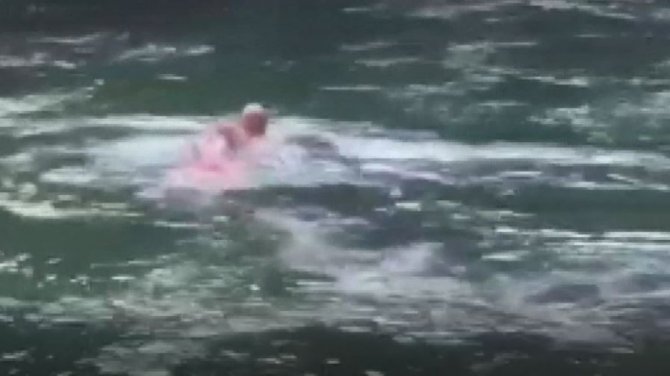 Bir Yanda Yaban Keçileri, Bir Yanda Yüzme Keyfi