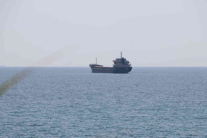 Ukrayna’dan 3 Bin Ton Ayçiçeği Taşıyan Gemi Tekirdağ’a Yanaştı