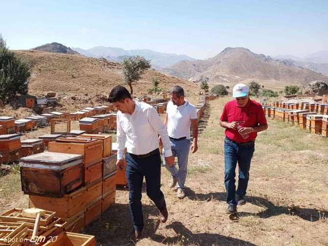 Remik Yaylası Balının Sağımı Başladı