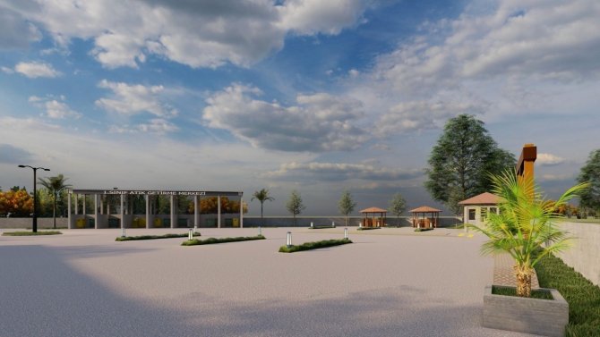 Yalova’da Sokak Hayvanları İçin Aşevi Açılıyor