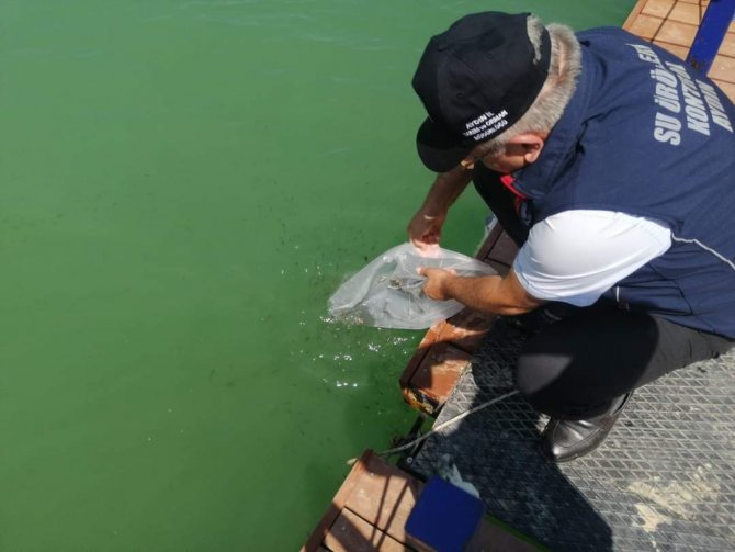 Kemer Barajı’na 150 Bin Balık Bırakıldı