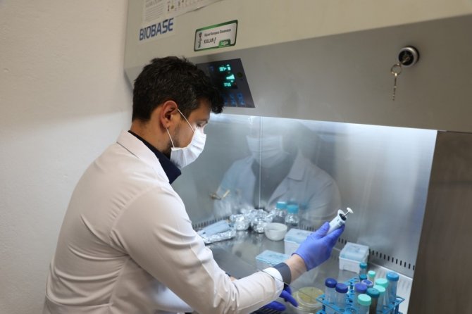 Barü’nün Projesiyle Şeker Hastalığının Tanısına Yönelik Enzim Yerli Olarak Üretilecek