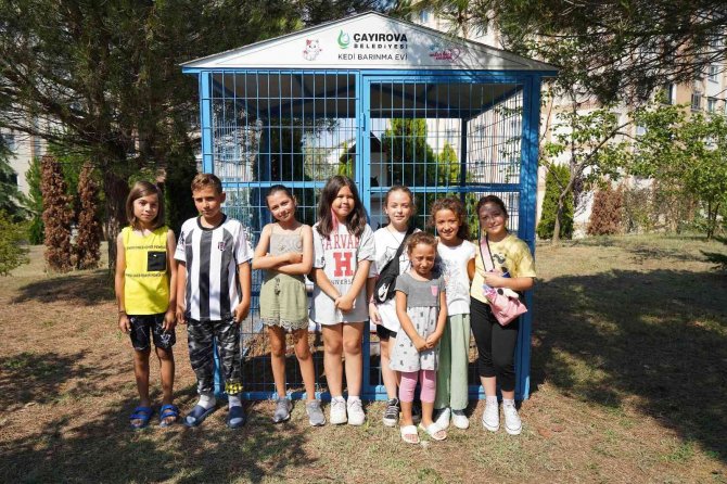 Bu Da Kedi Malikânesi