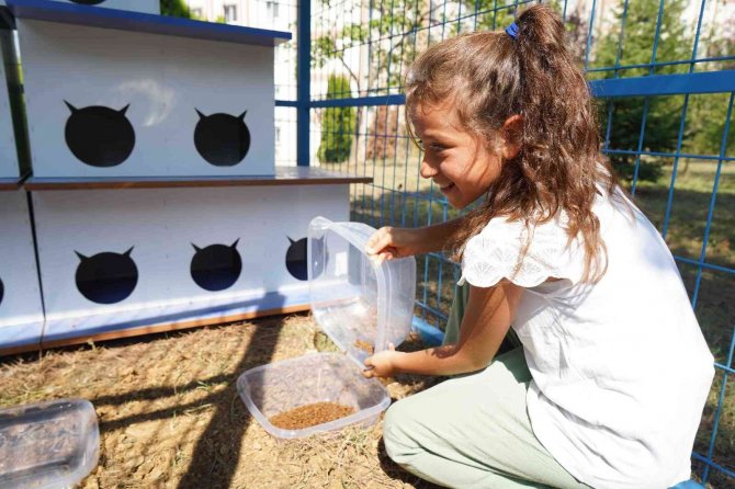 Bu Da Kedi Malikânesi