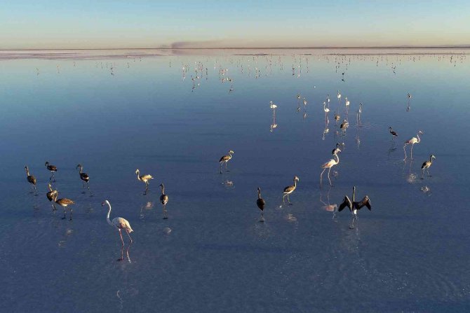 Bakan Kurum: “Tuz Gölü’ne Su Taşıdık, Flamingolara Can Suyu Verdik”