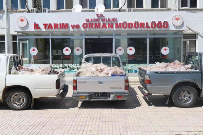 Elazığ’da Ele Geçirilen Çürük Etlerin Görüntüleri Paylaşıldı