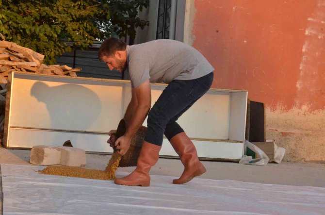 Elbistan’da Bulgur Kaynatma Sezonu Başladı