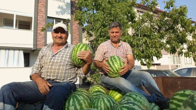 Burhaniye’ De Karpuz Çiftçinin Yüzünü Güldürdü
