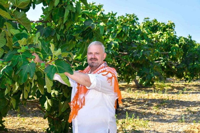 Menemen’de İncir Tadında Festival