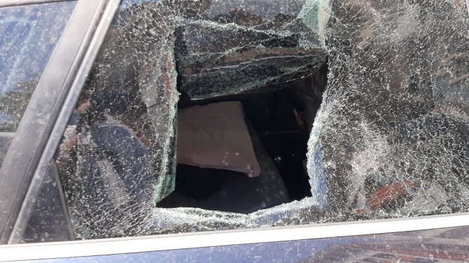 Köpeğinin Yaşaması İçin Dakikalarca Kalp Masajı Yaptı