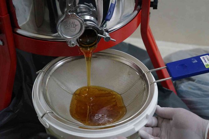 “Kastamonu Kestane Balı Coğrafi İşaret Belgesi Aldı