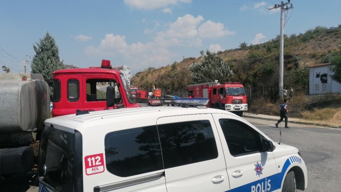 Elektrik Akımına Kapılan Güvercin Ağaçlık Alanda Yangın Çıkardı