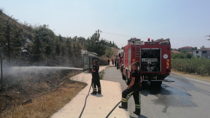 Elektrik Akımına Kapılan Güvercin Ağaçlık Alanda Yangın Çıkardı
