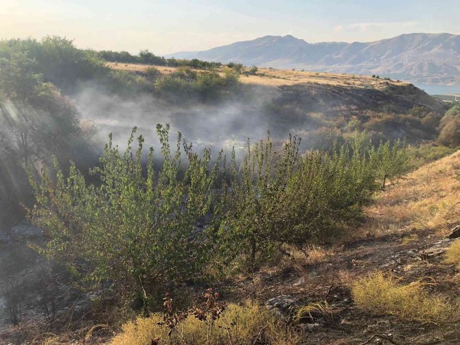 Malatya’da Anız Yangınında Kayısı Ağaçları Zarar Gördü