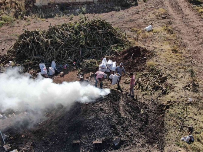 Mangal Kömürünün Zorlu Yolculuğu