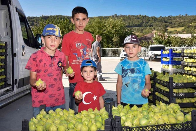 Menemen’de İncir Tadında Festival
