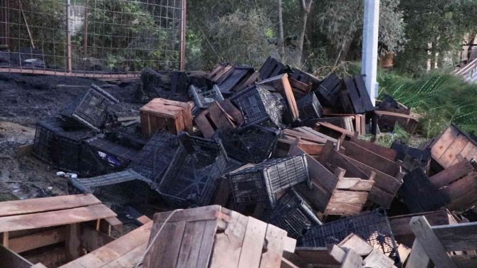 Halde Yangın: Ahşap Kasalar Küle Döndü