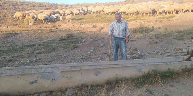 Vicdansızlığın Böylesi, Hayvanlar Su İçmesin Diye Bakın Ne Yaptılar