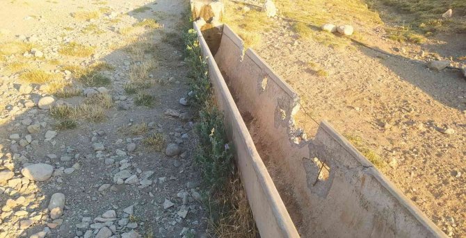 Vicdansızlığın Böylesi, Hayvanlar Su İçmesin Diye Bakın Ne Yaptılar