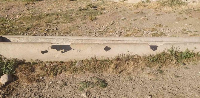 Vicdansızlığın Böylesi, Hayvanlar Su İçmesin Diye Bakın Ne Yaptılar