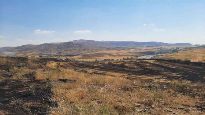 Anız Yangını Korkuttu