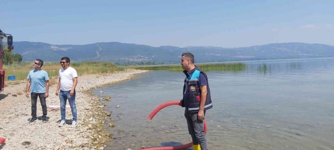 Göl Ve Göletlere 2,5 Milyon Sazan Bırakıldı