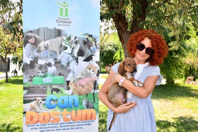 12 Bin 60 Can Sıcak Bir Yuvaya Kavuştu