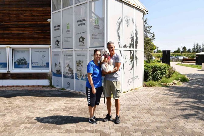 12 Bin 60 Can Sıcak Bir Yuvaya Kavuştu