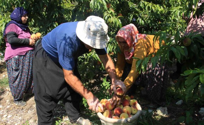 Üreticide 2 Tl 30 Kuruş, Marketlerde 13-14 Tl