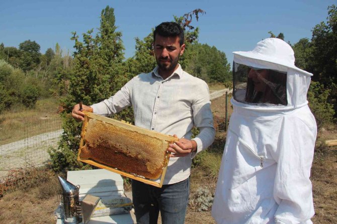 İ̇lk Hasat Heyecanı