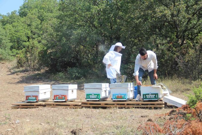 İ̇lk Hasat Heyecanı