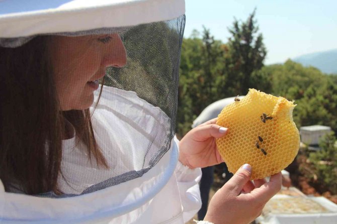 İ̇lk Hasat Heyecanı