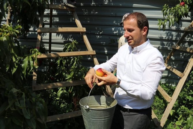 Ak Partili Kılıç: “Bizim Tek Derdimiz Vatandaşımızın Sorunlarını Çözmek, Taş Üstüne Taş Koymaktır”