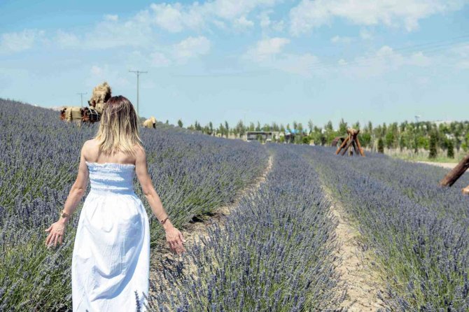 Ankara’da 3 Yılda 40 Park Ve Yeşil Alan Hizmete Açıldı