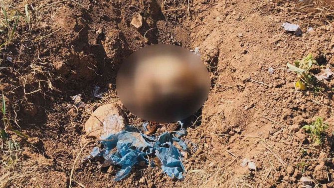 Kocasının Öldürüp Toprağa Gömdüğü Kadının Cesedini ‘Baron’ Buldu