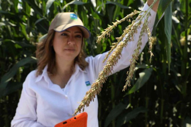 Avrupa İ̇mar Ve Kalkınma Bankası’ndan May Tohum’a Yatırım Desteği