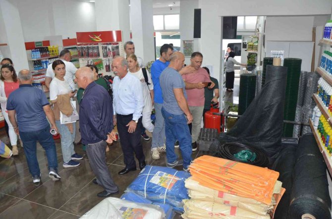 Azerbaycan Fındık Üretimine Hazırlanıyor