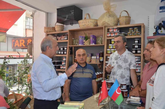 Azerbaycan Fındık Üretimine Hazırlanıyor