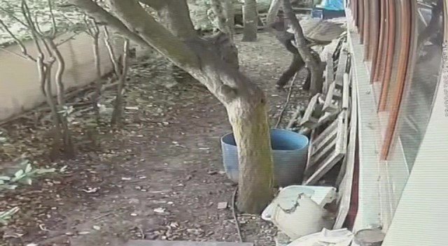 Tuzla’da 70 Bin Tl Değerinde Makine Kablolarını Çalan Hırsızlar Kamerada