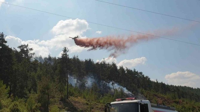 Bursa’da Orman Yangını İçin Müthiş Seferberlik...yangın Kontrol Altında