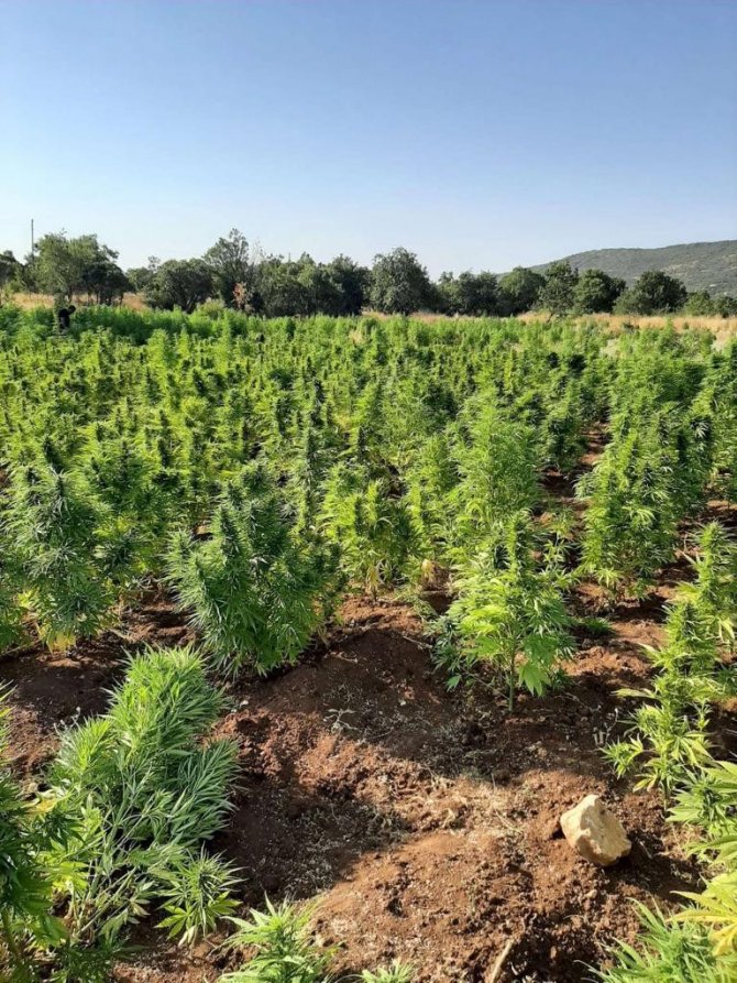 Diyarbakır’da Terörün Finansman Kaynağı "Ablukaya" Alındı