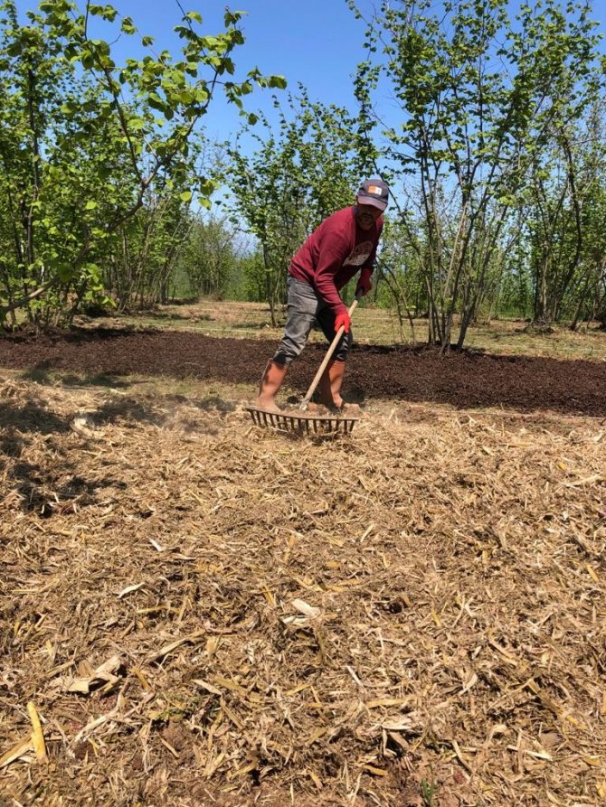 Tarımsal Atıklar Değerlendirilecek