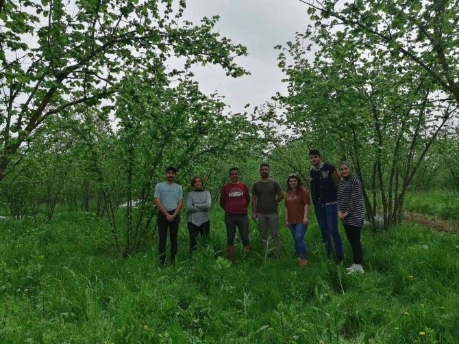 Tarımsal Atıklar Değerlendirilecek