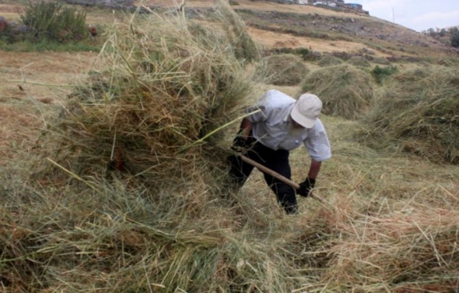 Erzincan’da Vatandaşların Kış Hazırlığı
