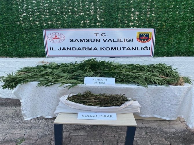 Samsun’da Çok Sayıda Narkotik Madde Ele Geçirildi