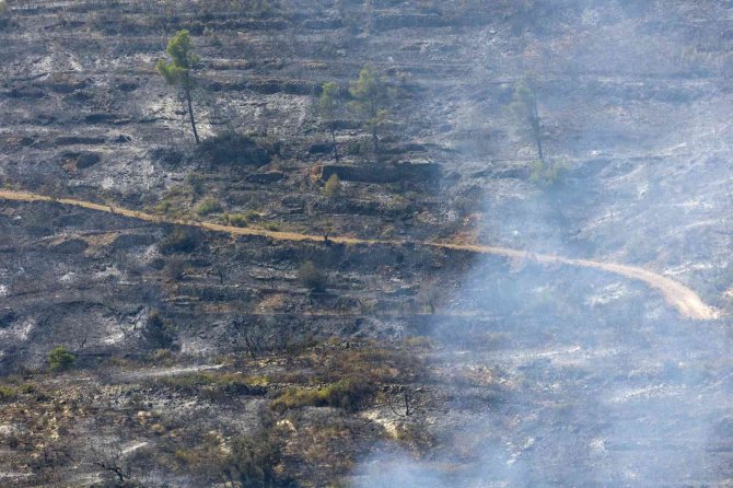 İ̇spanya’nın Valencia Bölgesindeki Yangında 19 Bin Hektar Alan Kül Oldu