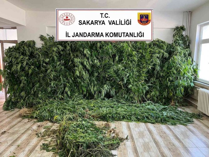 Jandarmadan Uyuşturucu Ve Kaçak Sigara Operasyonu: 2 Gözaltı