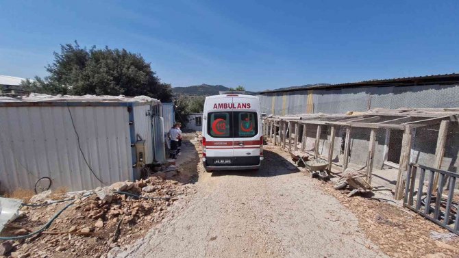 Kalbine Bıçak Saplanmış Halde Ölü Bulundu