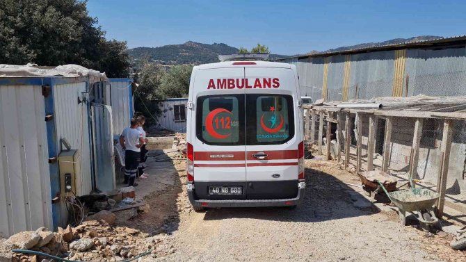 Kalbine Bıçak Saplanmış Halde Ölü Bulundu